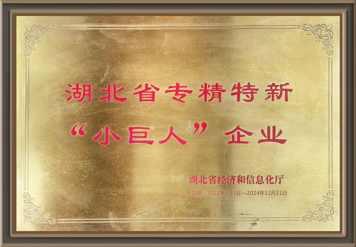 湖北省专精特新小巨人”企业
